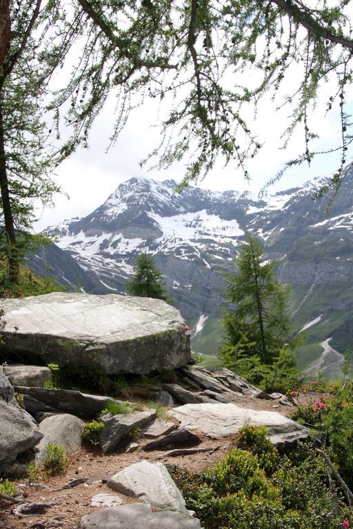 Apparthotel Marteshof Pfelders Exteriör bild